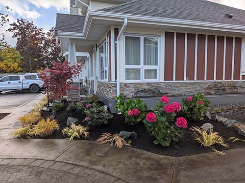 garden with pink flowers